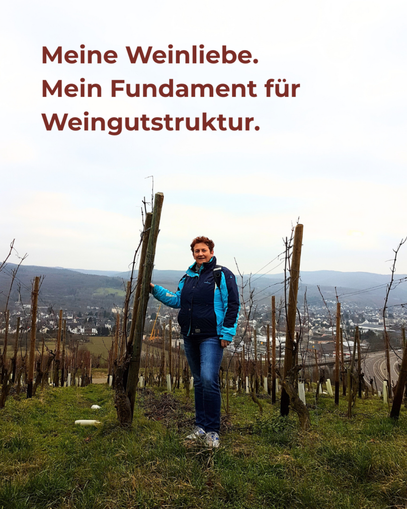 neue Struktur und Systeme für Weingüter 2026