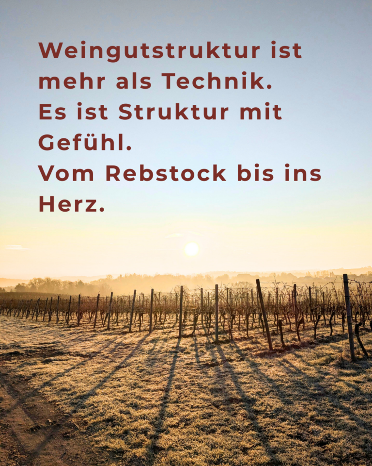 Weingutstruktur